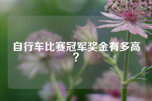 自行车比赛冠军奖金有多高？-第1张图片-皇冠信用盘出租