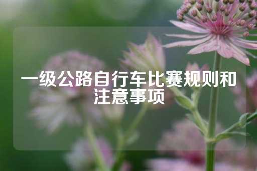 一级公路自行车比赛规则和注意事项